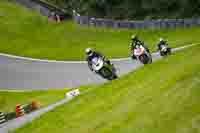 Lower Group Green Bikes